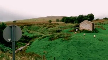 Güney Tynedale Demiryolu. Alston, Cumbria, İngiltere, İngiltere, Avrupa'da buharlı tren - 10 Ağustos 2019