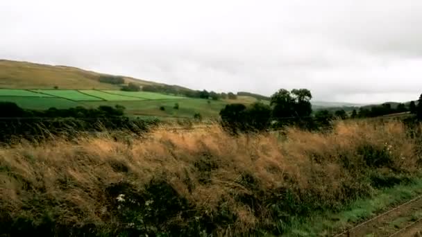 South Tynedale Railway Pociąg Parowy Alston Cumbria Anglia Wielka Brytania — Wideo stockowe