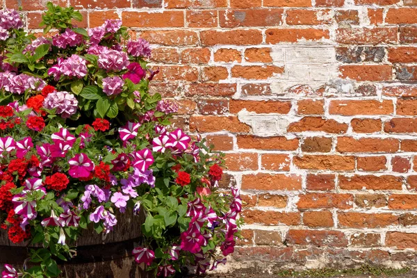 फूलों के साथ जीवंत ईंट दीवार बनावट पृष्ठभूमि — स्टॉक फ़ोटो, इमेज