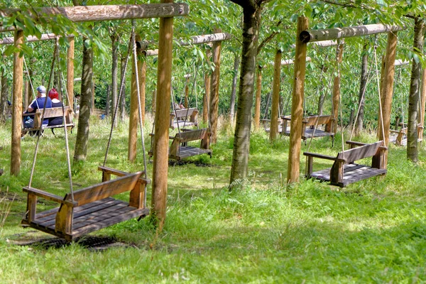 Empty garden tree swings in summer — Stock Photo, Image