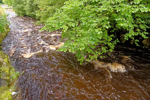 Vue campagne rurale dans le Northumberland - Nord-Est de l'Angleterre — Photo