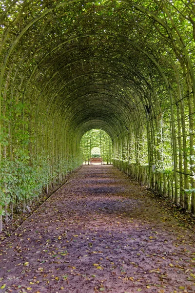Covered Walkway - Alnwick Gardens — Stock Photo, Image