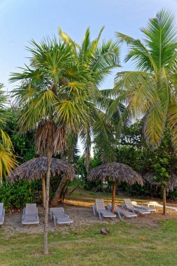 Güzel tropikal sahilde şemsiyeli plaj sandalyesi