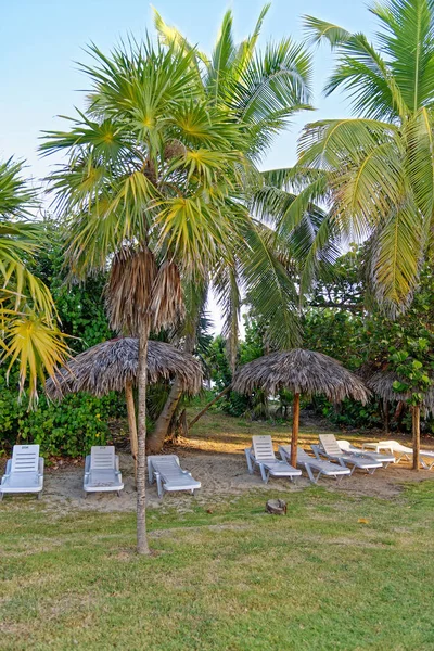 Cadeira de praia com guarda-chuva na bela praia tropical — Fotografia de Stock
