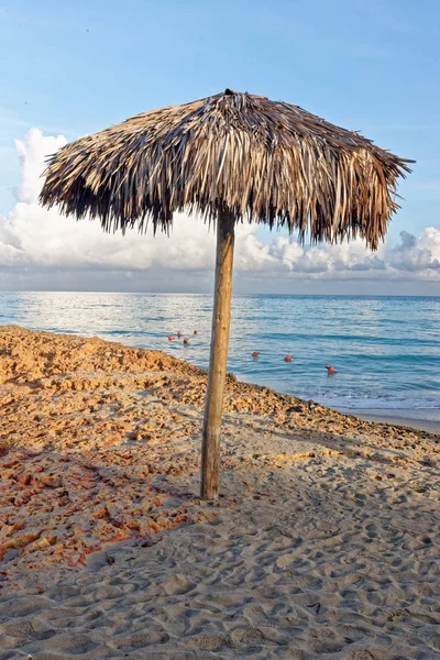 Υφαντή ομπρέλα παραλίας — Φωτογραφία Αρχείου