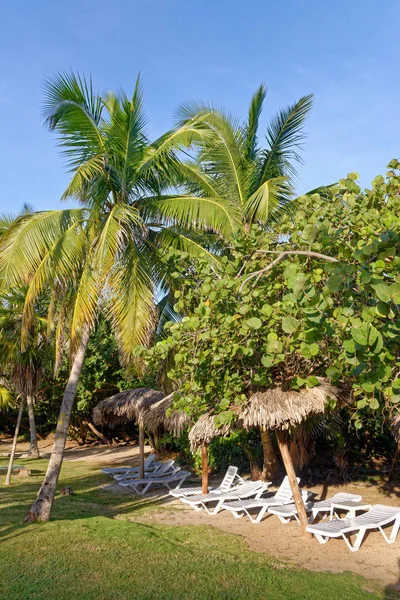 Пляжный шезлонг с пупсом на красивом пляже — стоковое фото