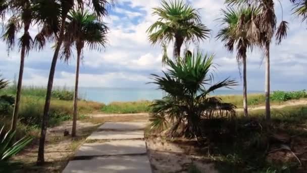 Varadero Plajı Batı Hint Adaları Karayipler Varadero Küba Orta Amerika — Stok video