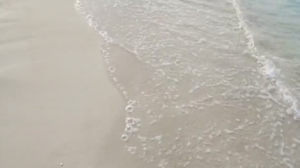 Varadero Beach West Indies Caribbean Varadero Cuba Central America Ноября — стоковое видео