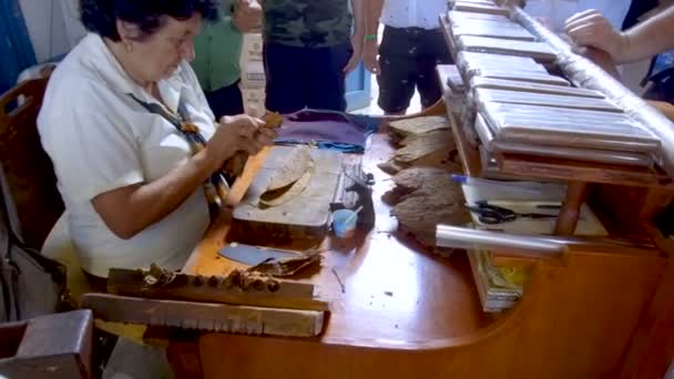 Sigaren Maken Bij Artisanal Tobacco Factory Trinidad Cuba November 2018 — Stockvideo