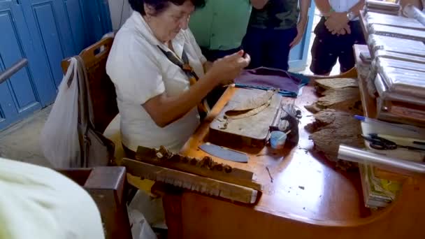 Att Tillverka Cigarrer Hantverksfabriken Trinidad Kuba November 2018 — Stockvideo