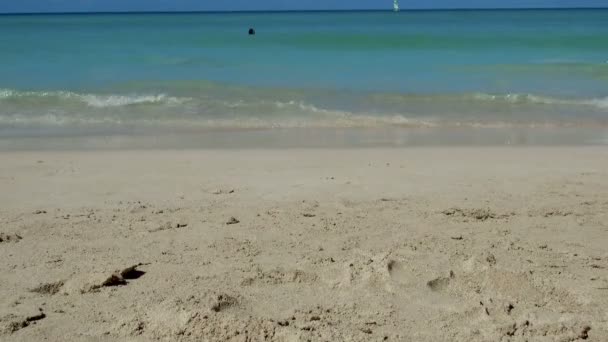 バラデロ ビーチ 西インド諸島 カリブ海 バラデロ キューバ 2018年11月6日 — ストック動画