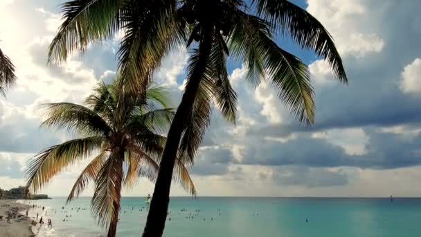 Varadero Strand Karibik Karibik Varadero Kuba Mittelamerika November 2018 — Stockvideo