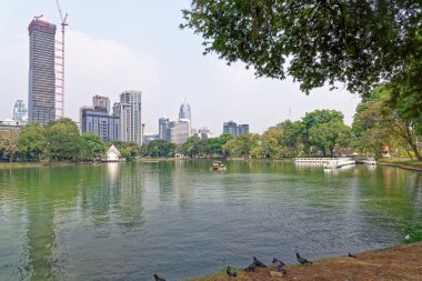 Pathum Wan ilçesindeki Lumphini Parkı (ayrıca LumpiniorLumpinee) - Bangkok, Tayland - 22 Ocak 2020