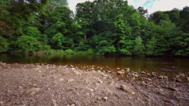 Richmond, North Yorkshire, İngiltere 'deki Swale Nehri' nin çağlayan şelalelerinin manzarası.