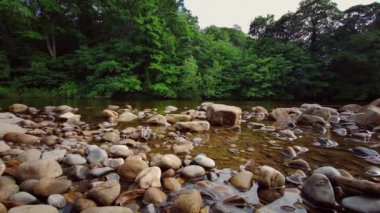 Richmond, North Yorkshire, İngiltere 'deki Swale Nehri' nin çağlayan şelalelerinin manzarası.
