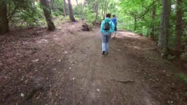 Stellagill Wood, İngiltere 'de yürüyen genç bir çift - 27 Temmuz 2020