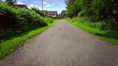 İngiliz ormanı. Sihirli Stellagill yeşil odununda manzara. Summer, Durham County, İngiltere. Ağaç gövdeleri, güneş ışığı. Ormanın içindeki patika. Romantik manzara
