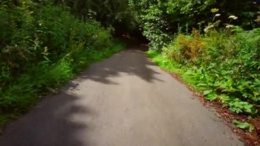 İngiliz ormanı. Sihirli Stellagill yeşil odununda manzara. Summer, Durham County, İngiltere. Ağaç gövdeleri, güneş ışığı. Ormanın içindeki patika. Romantik manzara