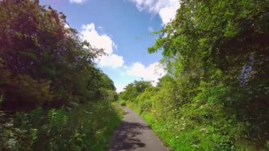 İngiliz ormanı. Sihirli Stellagill yeşil odununda manzara. Summer, Durham County, İngiltere. Ağaç gövdeleri, güneş ışığı. Ormanın içindeki patika. Romantik manzara