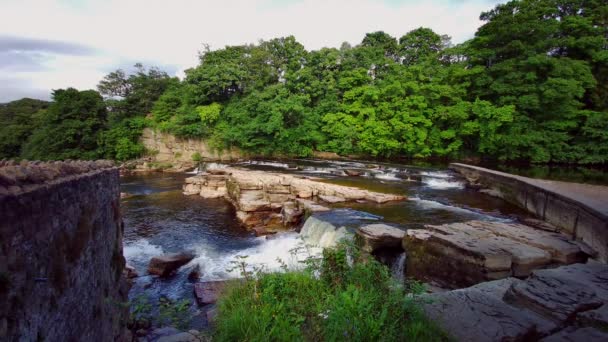 Naturskön Utsikt Över Kaskadformiga Vattenfallen Floden Swale Richmond North Yorkshire — Stockvideo