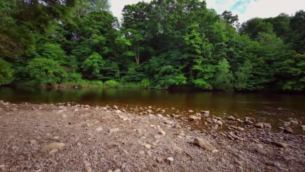 Una Vista Panoramica Delle Cascate Del Fiume Swale Richmond North — Video Stock