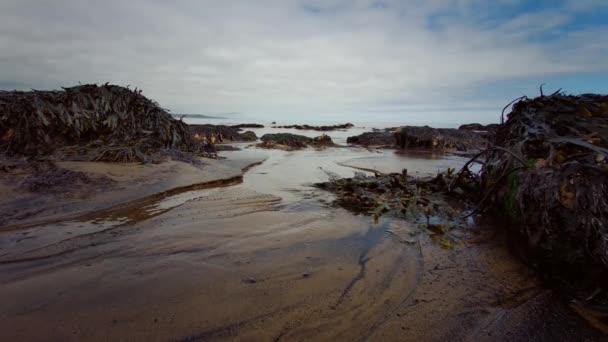 Beach Magnesium Magnesian Limestone Cliffs Blackhall Rocks County Durham Coast — Stock Video