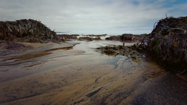 Plaża Magnez Lub Magnezu Wapienne Klify Blackhall Rocks County Durham — Wideo stockowe