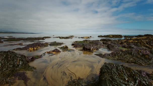 Plaża Magnez Lub Magnezu Wapienne Klify Blackhall Rocks County Durham — Wideo stockowe