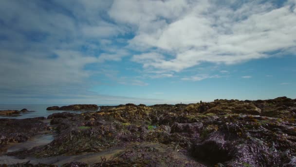 Plaża Magnez Lub Magnezu Wapienne Klify Blackhall Rocks County Durham — Wideo stockowe