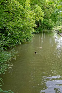 River Windrush Cotswold kasabası Burford, Oxfordshire, İngiltere, İngiltere