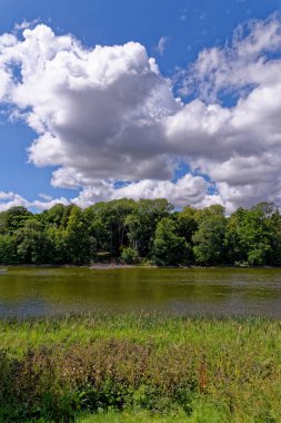 Blenheim Sarayı Bahçeleri ve peyzajlı parklar, Woodstock, Oxfordshire, İngiltere