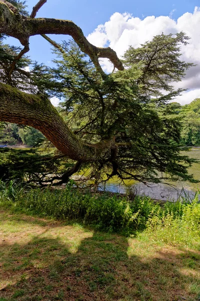Blenheim Palace Gardens Και Είναι Διαμορφωμένο Πάρκο Woodstock Oxfordshire Αγγλία — Φωτογραφία Αρχείου