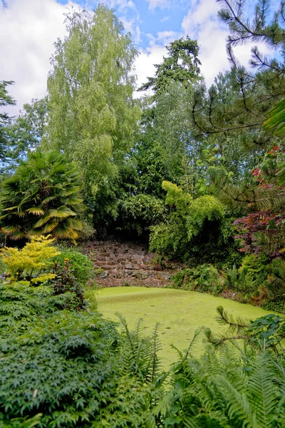 Blenheim Palace Gardens Landscaped Parkland Woodstock Oxfordshire England — Stock Photo, Image