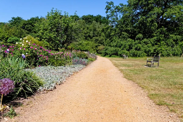 Engelsk Trädgård Sommaren England Storbritannien — Stockfoto