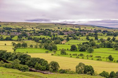 Tarlalar üzerinde manzara - Durham İlçesi - Birleşik Krallık