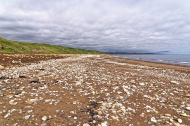 Durham Heritage Sahili 'ndeki Seaham yakınlarında, Dawdon' daki Rocky plajı. Durham County, İngiltere, Birleşik Krallık