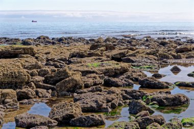 Durham Heritage Sahili 'ndeki Seaham yakınlarında, Dawdon' daki Rocky plajı. Durham County, İngiltere, Birleşik Krallık