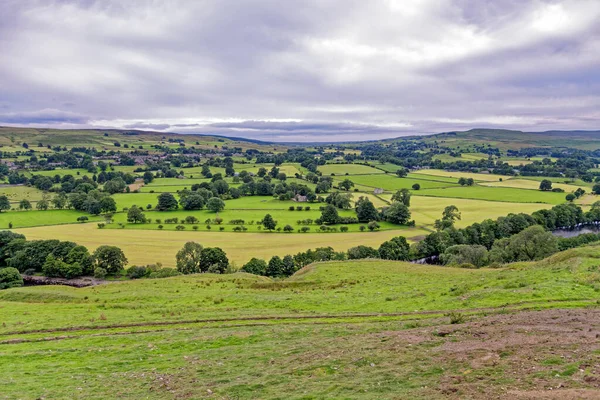 Tarlalar Üzerinde Manzara Durham Lçesi Birleşik Krallık — Stok fotoğraf