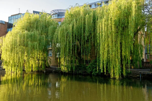 River Kennet Kennet Avon Canal Reading Berkshire Verenigd Koninkrijk April — Stockfoto