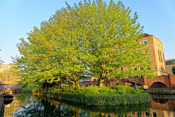 River Kennet Kennet Avon Canal Reading Berkshire Velká Británie Dubna — Stock fotografie