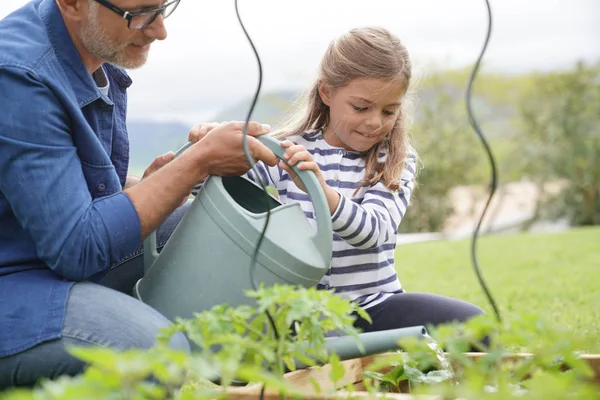 Vader Dochter Samen Tuinieren Huis Moestuin — Stockfoto