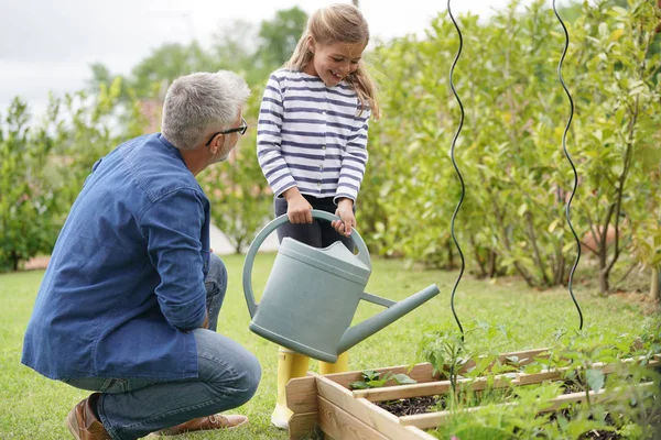 Jardinage Père Fille Ensemble Potager Maison — Photo