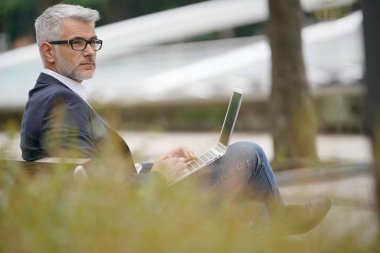 Dizüstü bilgisayar kullanarak genel bankta oturan işadamı