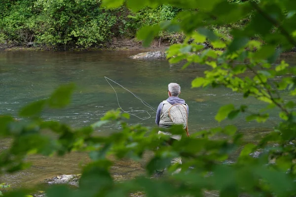 Рибалка Рибалить Річці Природа — стокове фото
