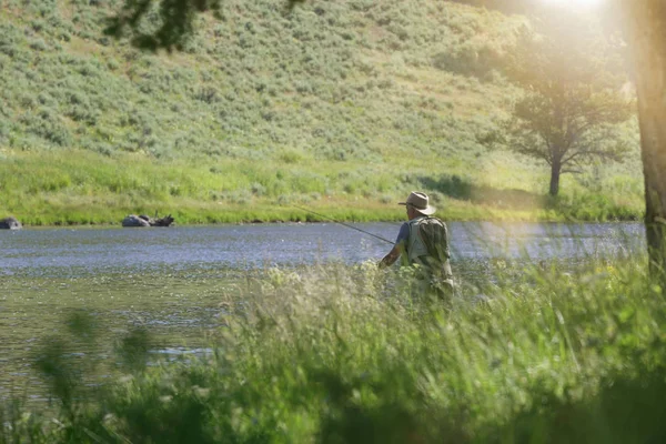 Ψαράς Flyfishing Στο Ποτάμι Της Μοντάνα Μέλος — Φωτογραφία Αρχείου