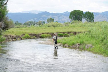 Balıkçı flyfishing Montana Nehri devlet