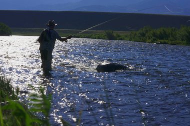 Gün batımında Nehri'nde sinek balıkçı