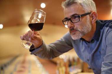 Winemaker tasting red wine in cellar clipart