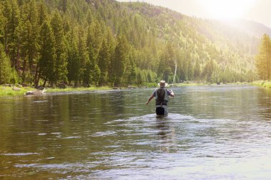 Fisherman flyfishing in river of Montana state clipart