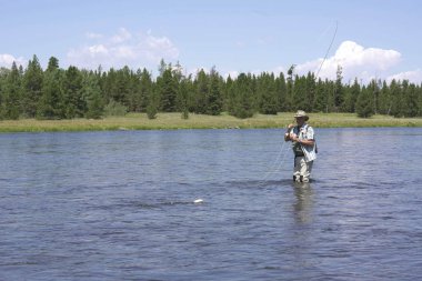 Balıkçı Nehri'nde balık fly 